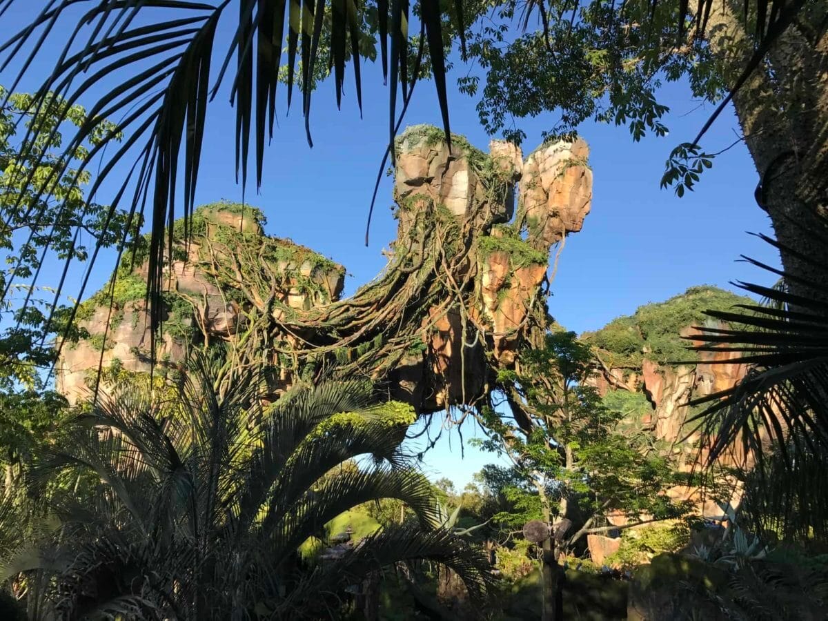 Animal Kingdom at Disney parks